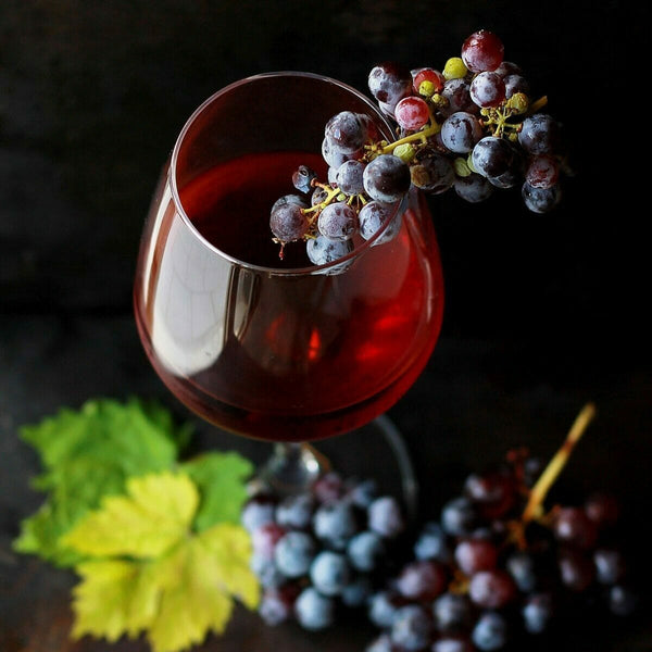 Wine tasting at the Budureasca winery